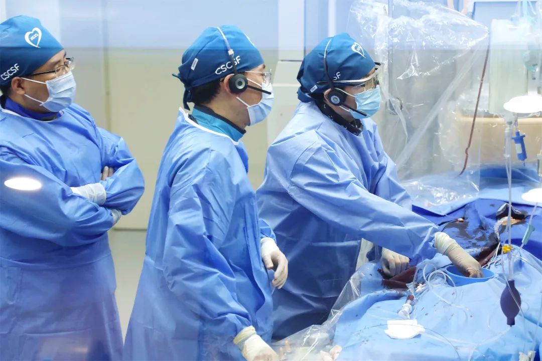 1605780625849048989.jpg 3.jpg