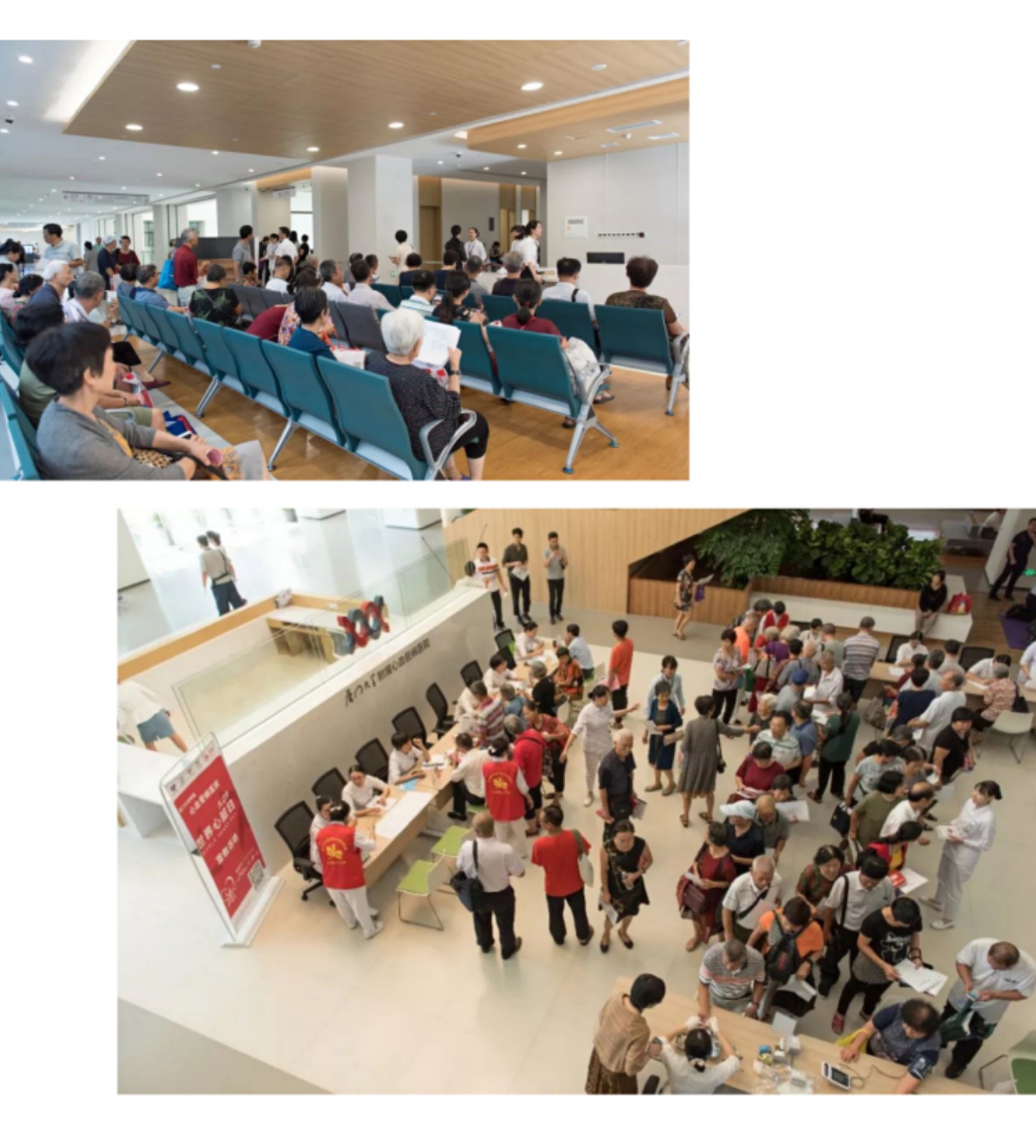 1606127174108085594.jpg 1606127174108085594.jpg