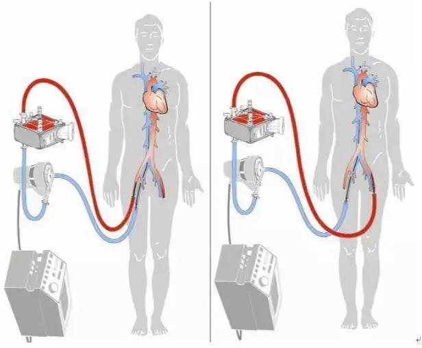 1625543467052098661.jpg 微信图片_20210706113852.jpg