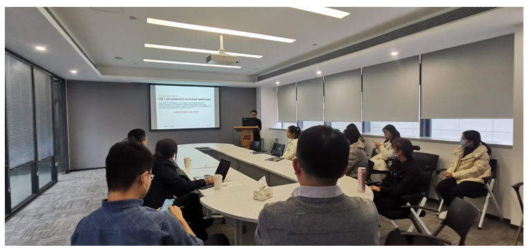 1643437460259000153.png RR.png