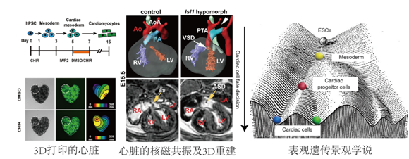 1691137167129621.png 52.png