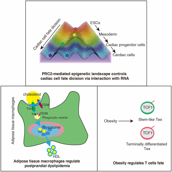 1691137262241453.png 53.png