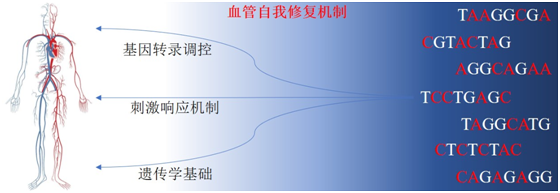 1691137347661102.png 54.png