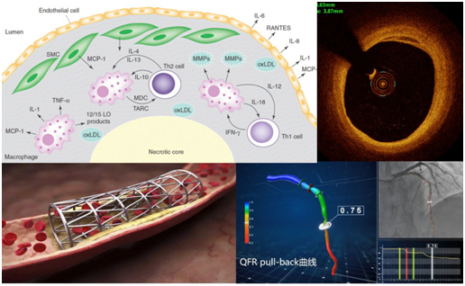 1691137546183533.png 56.png