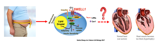 1691137793591116.png 60.png