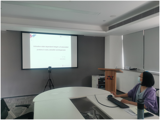 1692001877416268.png 80.png