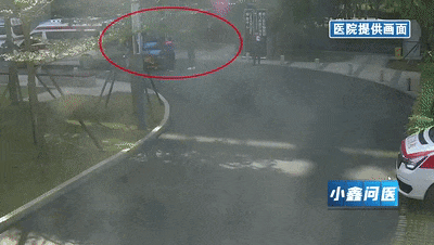 1704157845219337.gif 640.gif