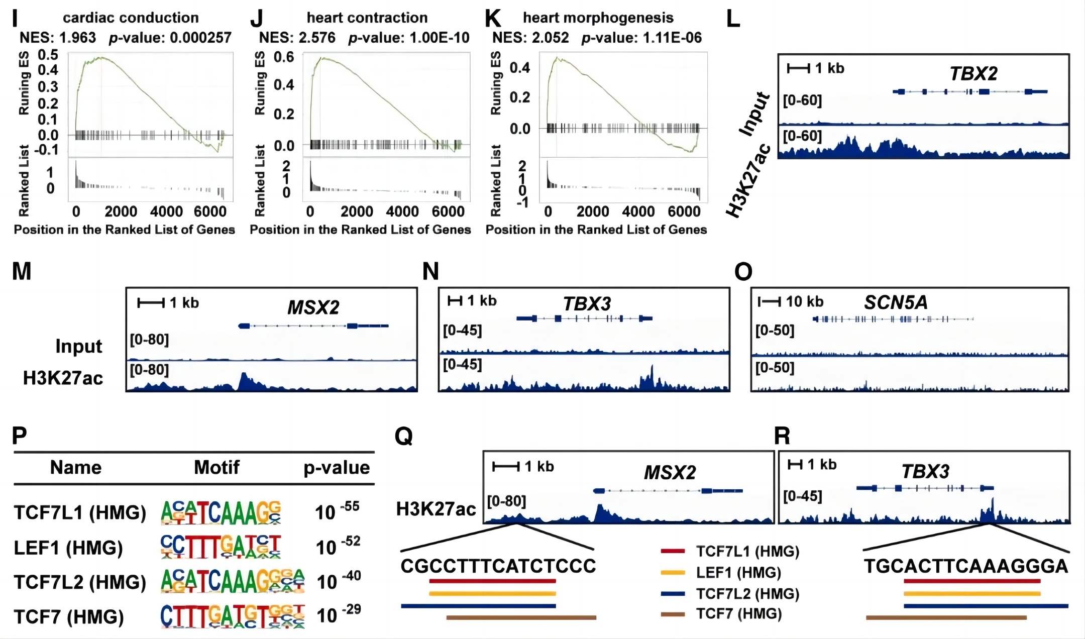 1717398206948337.jpg 640 (2).jpg