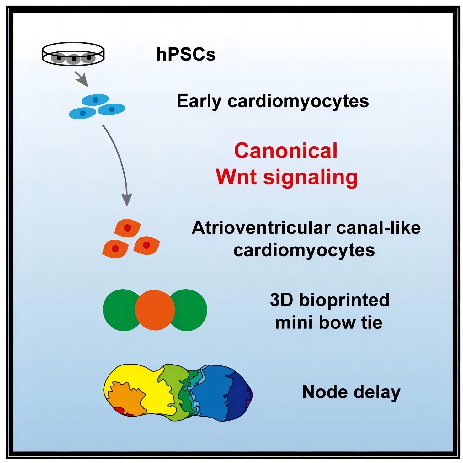 1717398306319148.jpg 640 (4).jpg