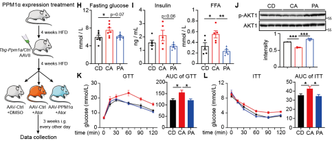 1724056408228540.png 897ebcc49fd094dd3a8839de7da1a8d.png