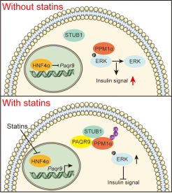 1724056419251919.png a18bc78c3c79c09f21f56167f99fef5.png