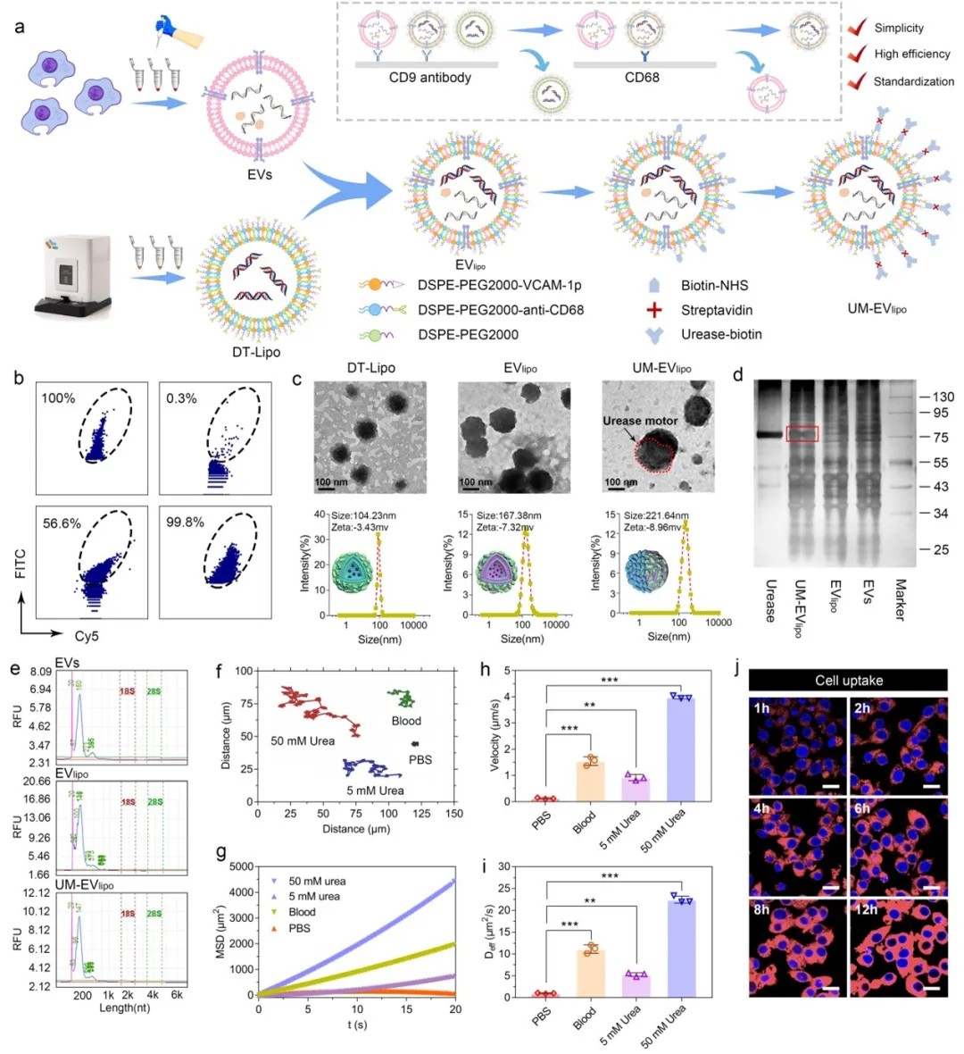 1732501080243287.jpg 2.jpg