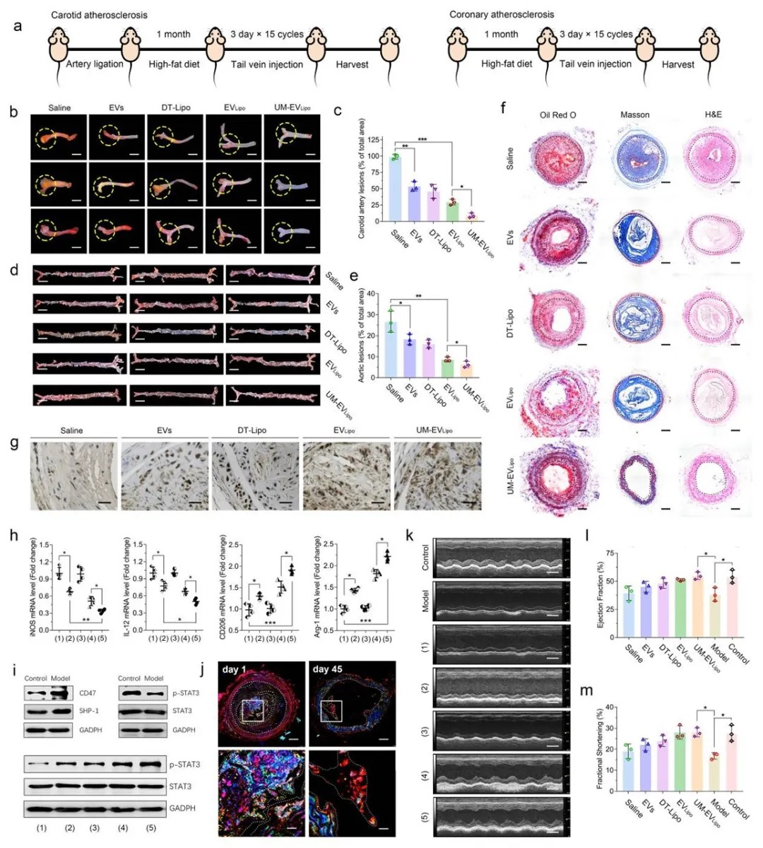 1732501096731111.jpg 3.jpg